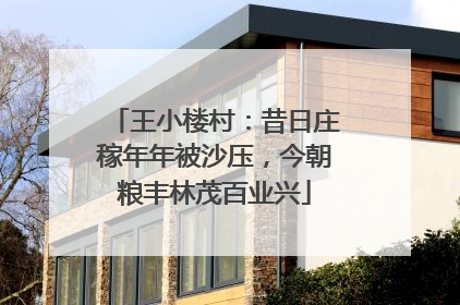 王小楼村：昔日庄稼年年被沙压，今朝粮丰林茂百业兴