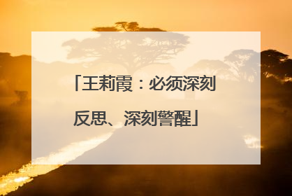 王莉霞：必须深刻反思、深刻警醒