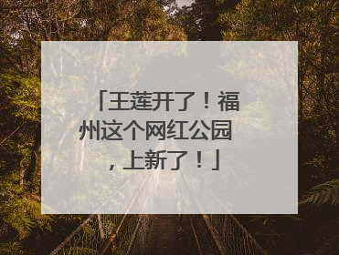 王莲开了！福州这个网红公园，上新了！