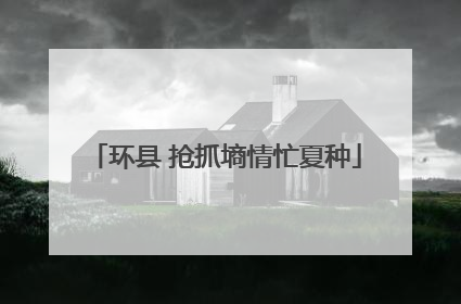 环县 抢抓墒情忙夏种
