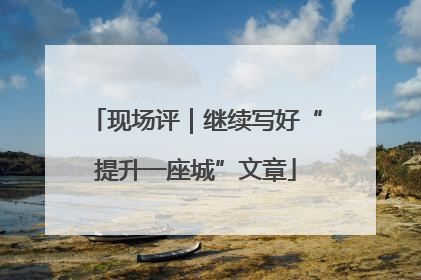 现场评｜继续写好“提升一座城”文章