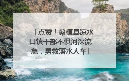 点赞！桑植县凉水口镇干部不惧河深流急，勇救落水人车