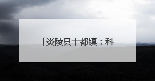 炎陵县十都镇：科技赋能农耕 绘就美丽乡村新画卷