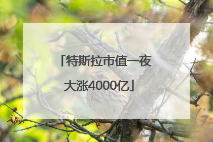 特斯拉市值一夜大涨4000亿