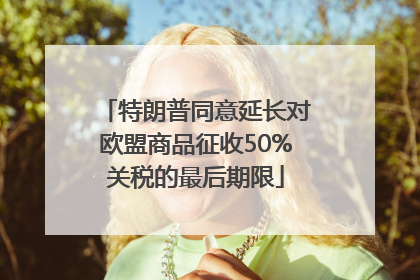 特朗普同意延长对欧盟商品征收50%关税的最后期限