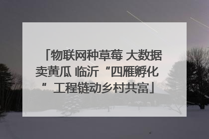 物联网种草莓 大数据卖黄瓜 临沂“四雁孵化”工程链动乡村共富