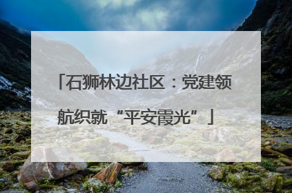 石狮林边社区：党建领航织就“平安霞光”