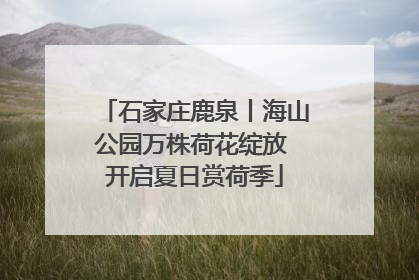 石家庄鹿泉丨海山公园万株荷花绽放 开启夏日赏荷季