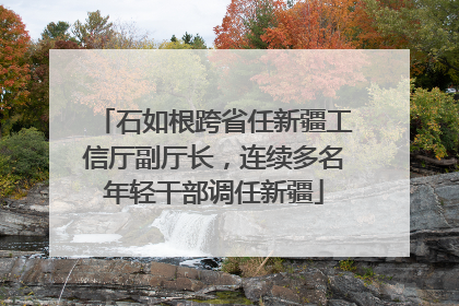 石如根跨省任新疆工信厅副厅长，连续多名年轻干部调任新疆