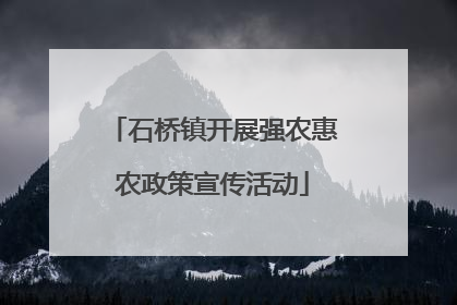 石桥镇开展强农惠农政策宣传活动