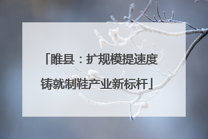 睢县：扩规模提速度 铸就制鞋产业新标杆