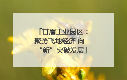 甘眉工业园区：聚势飞地经济 向“新”突破发展