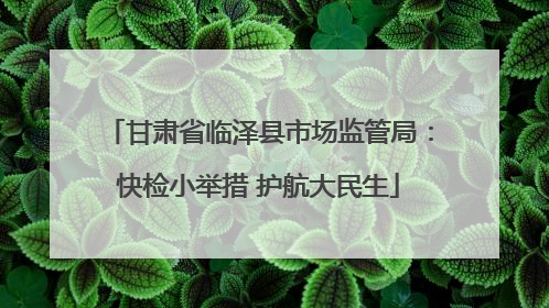 甘肃省临泽县市场监管局：快检小举措 护航大民生