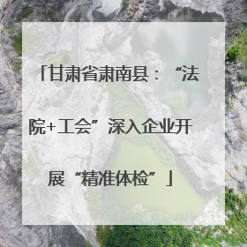 甘肃省肃南县：“法院+工会”深入企业开展“精准体检”