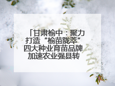 甘肃榆中：聚力打造“榆苗陇萃”四大种业育苗品牌 加速农业强县转型步伐