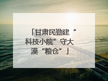 甘肃民勤建“科技小院”守大漠“粮仓”
