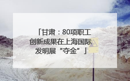甘肃：80项职工创新成果在上海国际发明展“夺金”