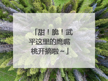 甜！脆！武平这里的鹰嘴桃开摘啦～