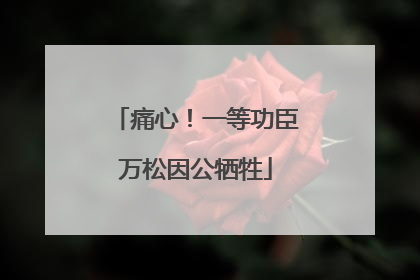 痛心！一等功臣万松因公牺牲