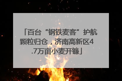 百台“钢铁麦客”护航颗粒归仓，济南高新区4.7万亩小麦开镰