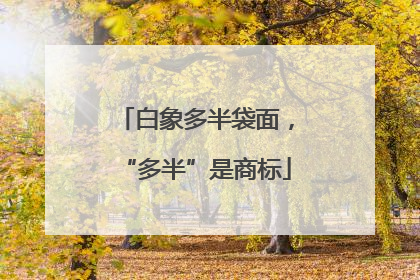 白象多半袋面，“多半”是商标