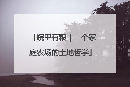 皖里有粮｜一个家庭农场的土地哲学
