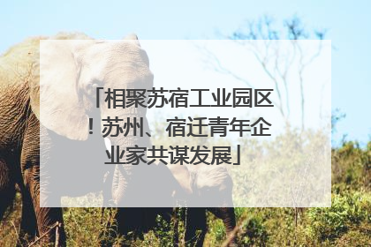 相聚苏宿工业园区！苏州、宿迁青年企业家共谋发展