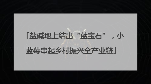 盐碱地上结出“蓝宝石”，小蓝莓串起乡村振兴全产业链