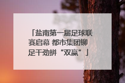 盐南第一届足球联赛启幕 都市集团铆足干劲拼“双赢”