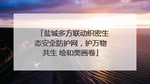 盐城多方联动织密生态安全防护网，护万物共生 绘和美画卷