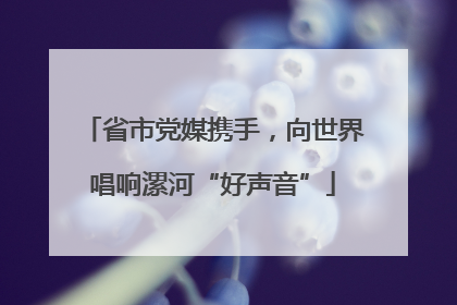 省市党媒携手，向世界唱响漯河“好声音”