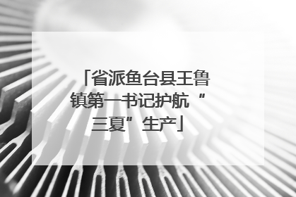 省派鱼台县王鲁镇第一书记护航“三夏”生产
