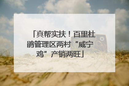 真帮实扶！百里杜鹃管理区两村“威宁鸡”产销两旺