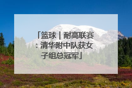 篮球｜耐高联赛：清华附中队获女子组总冠军