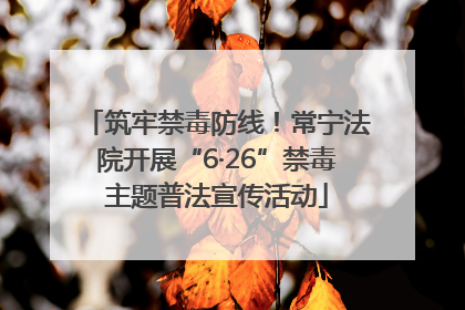 筑牢禁毒防线！常宁法院开展“6·26”禁毒主题普法宣传活动
