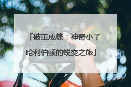 破茧成蝶：神奇小子哈利伯顿的蜕变之旅