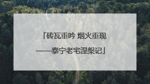 砖瓦重吟 烟火重现——泰宁老宅涅槃记