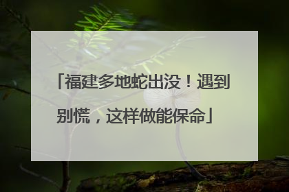福建多地蛇出没！遇到别慌，这样做能保命