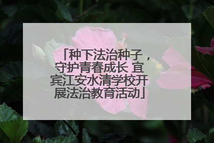 种下法治种子，守护青春成长 宜宾江安水清学校开展法治教育活动