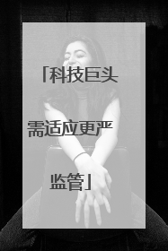 科技巨头需适应更严监管
