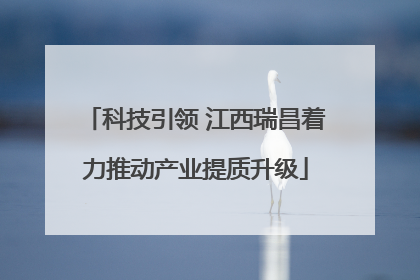 科技引领 江西瑞昌着力推动产业提质升级