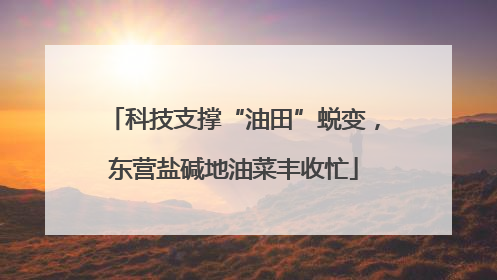 科技支撑“油田”蜕变，东营盐碱地油菜丰收忙