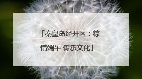 秦皇岛经开区：粽情端午 传承文化