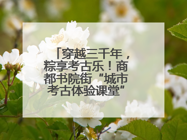 穿越三千年，粽享考古乐！商都书院街“城市考古体验课堂”端午“开课”