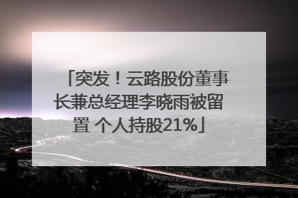 突发！云路股份董事长兼总经理李晓雨被留置 个人持股21%