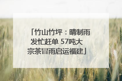 竹山竹坪：晴制雨发忙赶单 57吨大宗茶冒雨启运福建