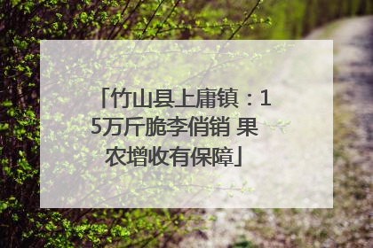 竹山县上庸镇：15万斤脆李俏销 果农增收有保障
