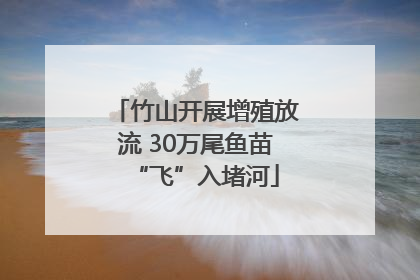 竹山开展增殖放流 30万尾鱼苗“飞”入堵河