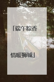 端午粽香 情暖狮城