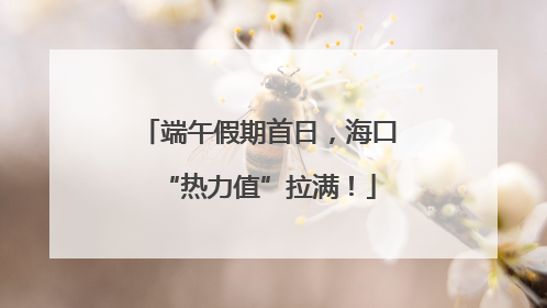 端午假期首日，海口“热力值”拉满！